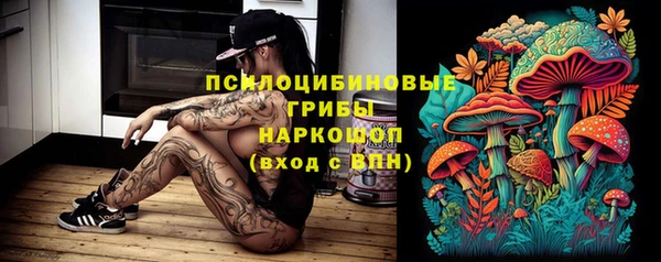 хмурый Алексин